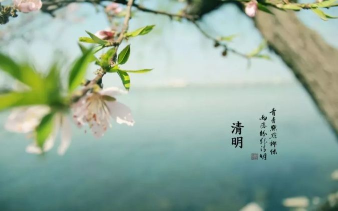 清明 || 雨紛紛，思故人