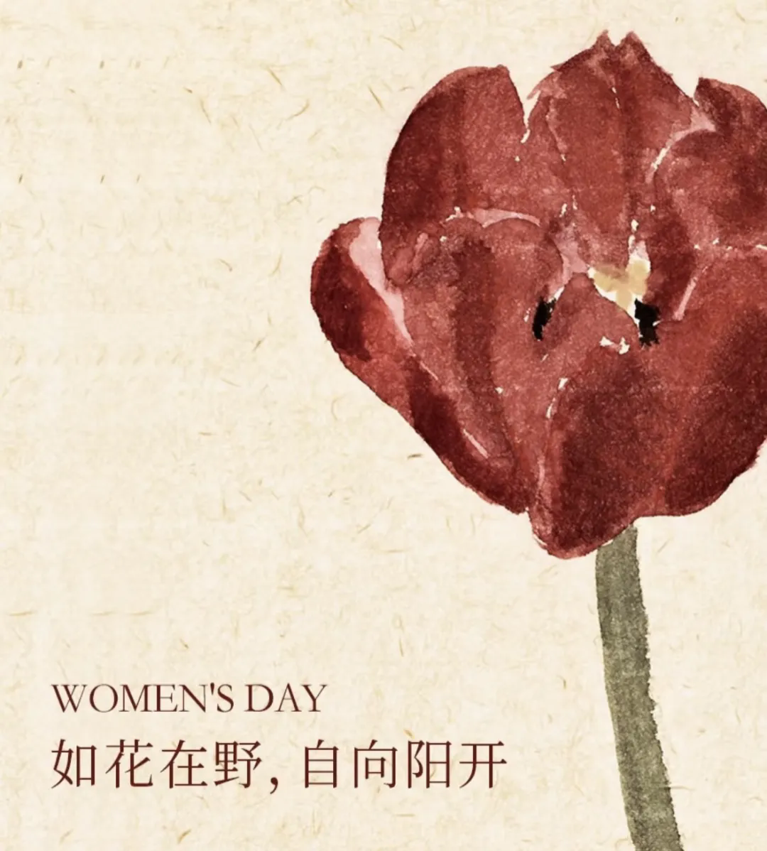 3·8女神節(jié)丨 南北特糕點，獻(xiàn)給每一位甜蜜女神